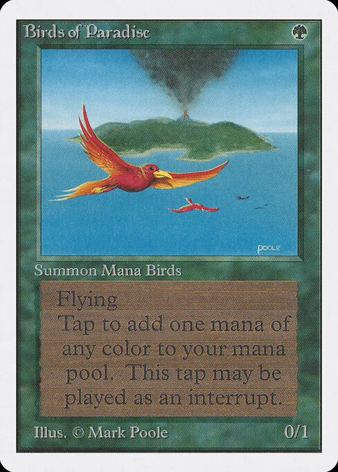 Birds of Paradise from Unlimited Edition