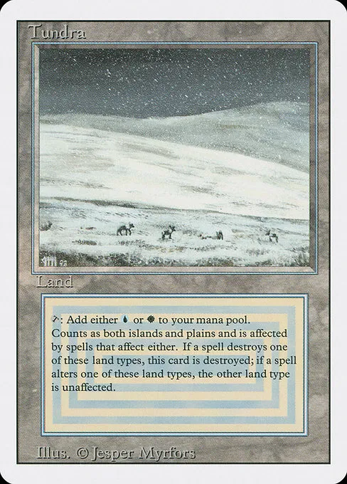 A Revised-edition Tundra dual land — the kind of card that hides in old binders and pays for the whole project
